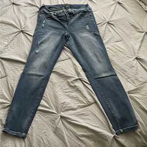 Torrid Blue Skinny Jeans with Stretch (Premium)